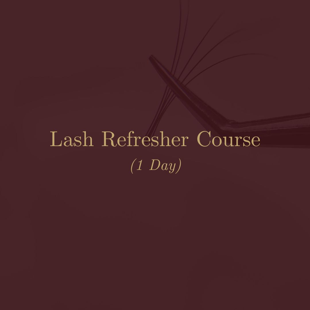 Lash Refresher Course (1 Day)
