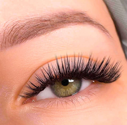 Advanced Lash Course (2 Days)