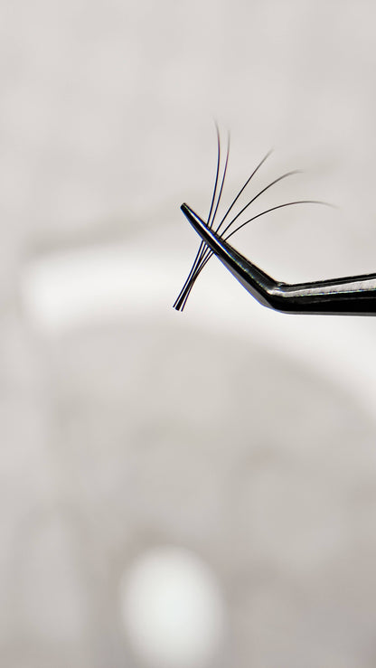Lash Refresher Course (1 Day)